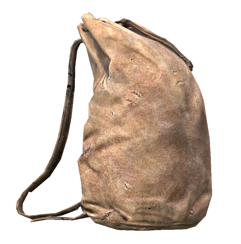 Leather Sack in DayZ - Crafting result